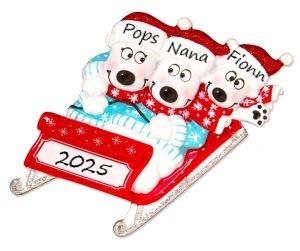 PX Bears on Sled 3 Personalised Ornament