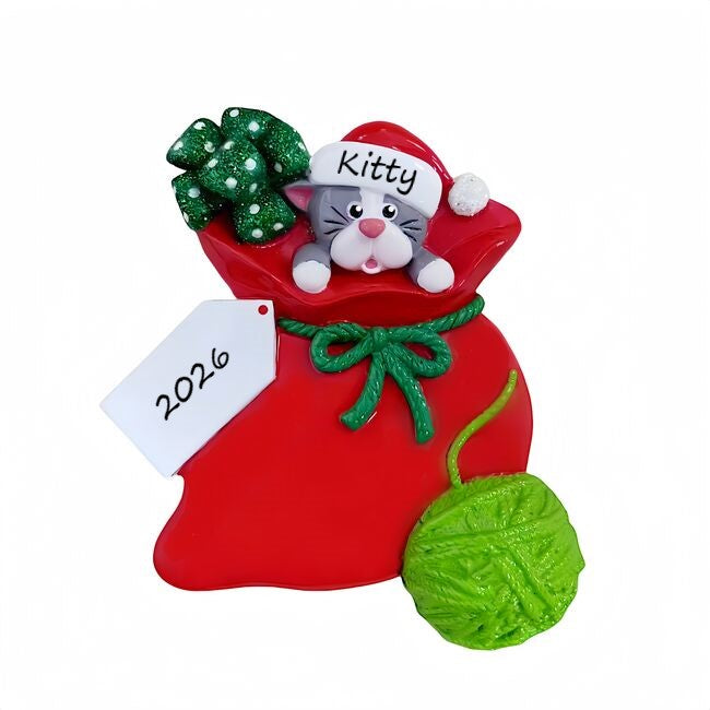 Kitty Bag Personalised Christmas Ornament