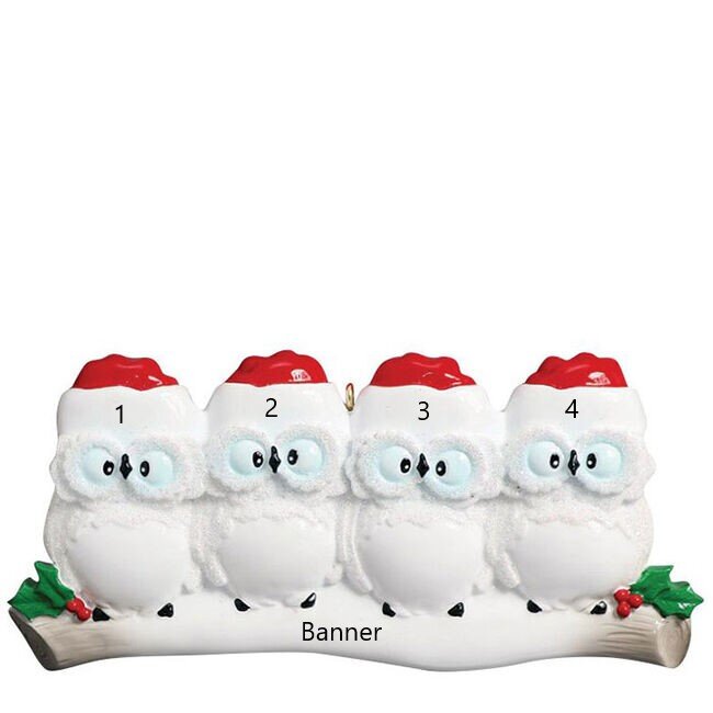 Owl Family 4