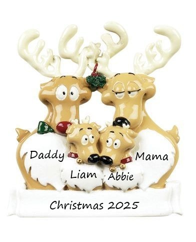 Reindeer Family 4 Personalised Christmas Ornament