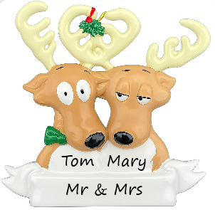 Reindeer Couple Family 2 Personalised Christmas Ornament