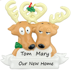 Reindeer Couple Family 2 Personalised Christmas Ornament