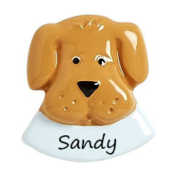 Add on Pet Dish