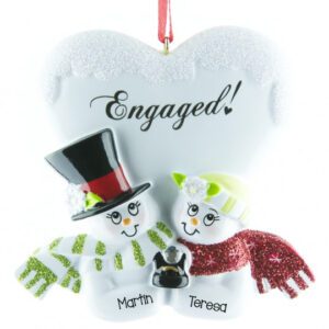 Engaged Snow Couple