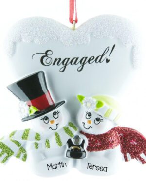 Engaged Snow Couple