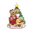 Expecting Families Personalised Christmas Ornament