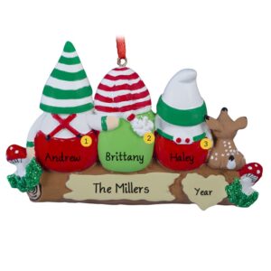 Idle Gnomes - 3 personalised Christmas Ornament