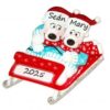 PX Bears on Sled 2 Personalised Ornament