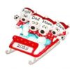 PX Bear on Sled 4