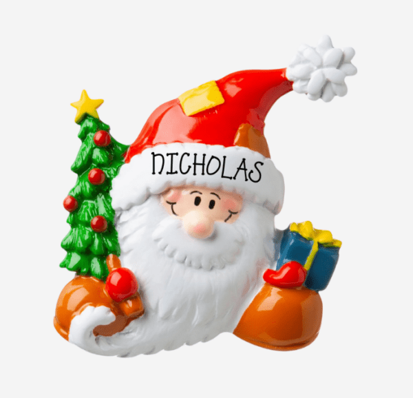 PX Santa Face in Cap